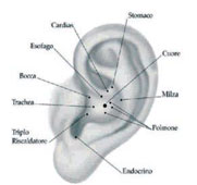 auricoloterapia 4