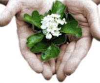 consulenza naturopatica1