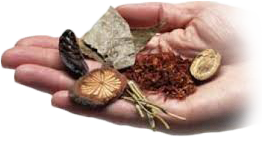 fitoterapia home