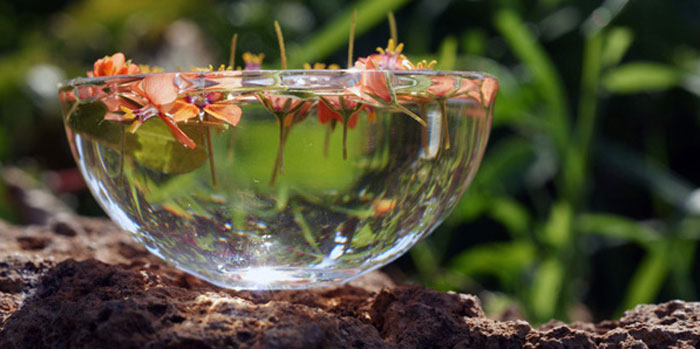floriterapia 1