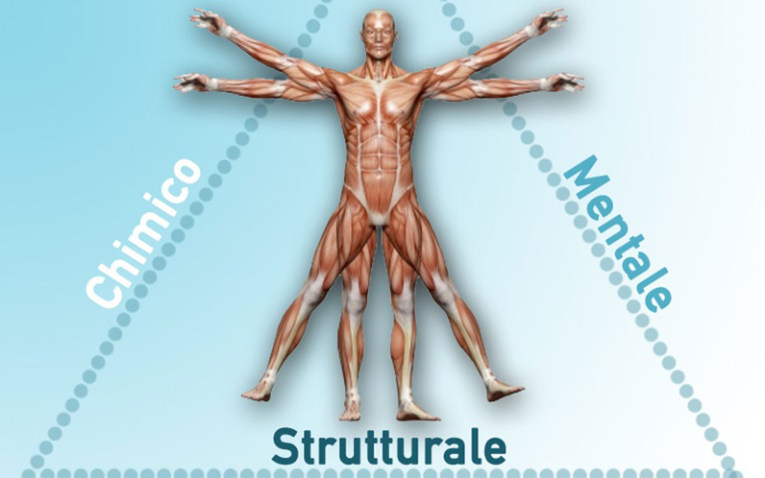 kinesiologia 2