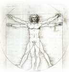 kinesiologia home